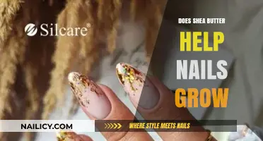 Shea Butter: The Secret to Longer, Stronger Nails?
