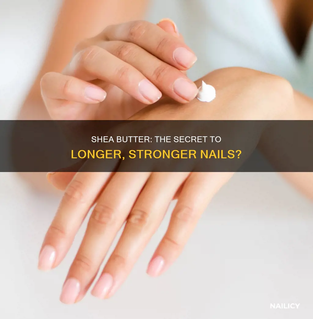 does shea butter help nails grow