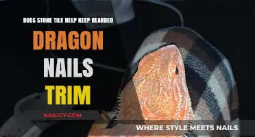 Stone Tile: A Bearded Dragon's Nail Trimming Solution