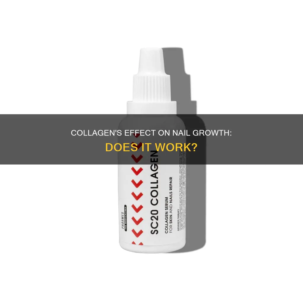 does taking collagen help nails grow