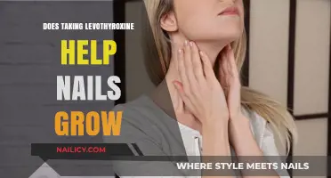 Thyroid Medication: Can It Help Your Nails Grow?