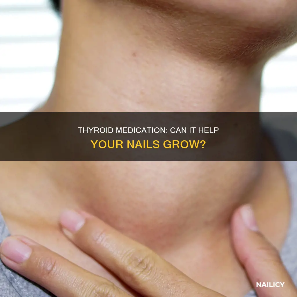 does taking levothyroxine help nails grow