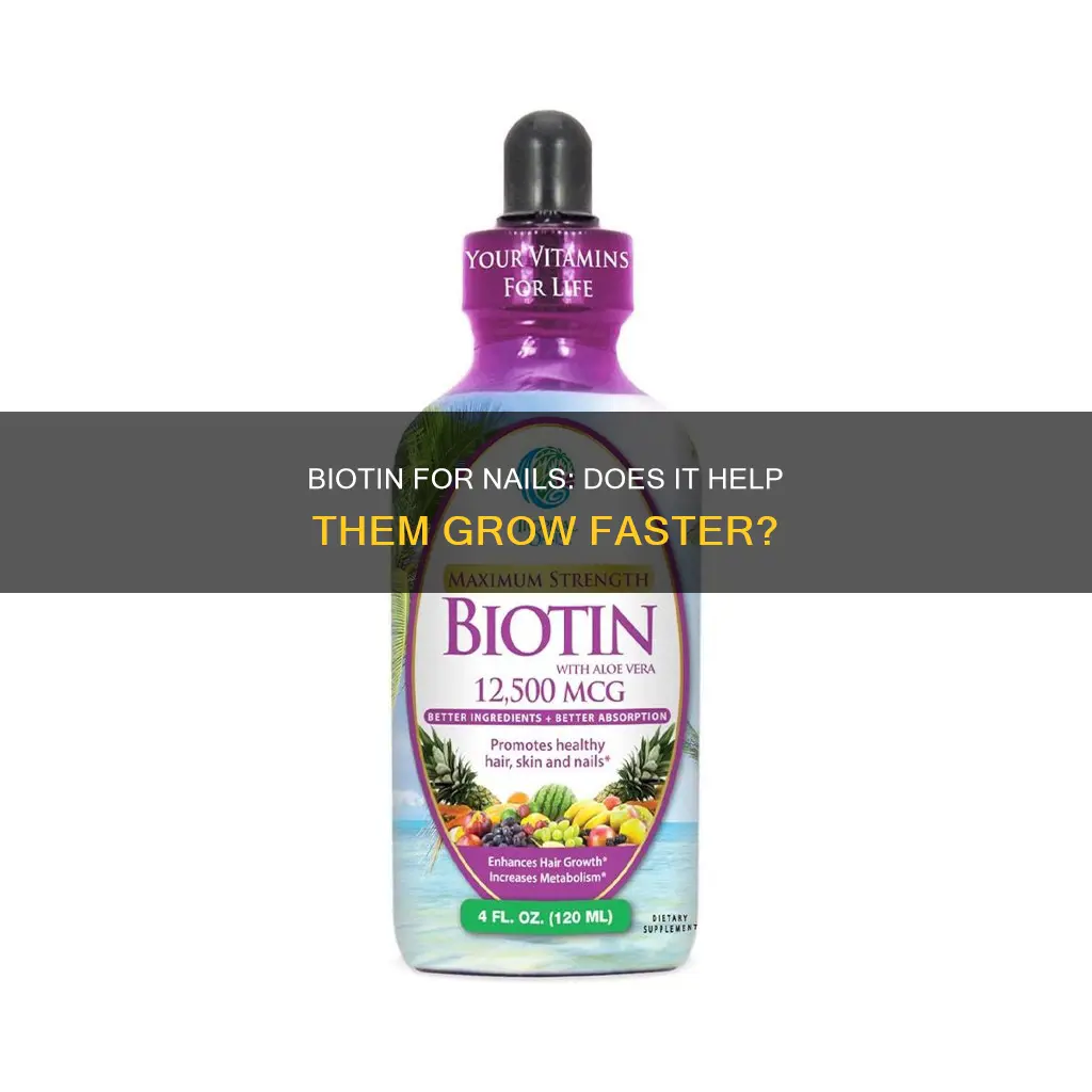 does taking more biotin help nails grow faster
