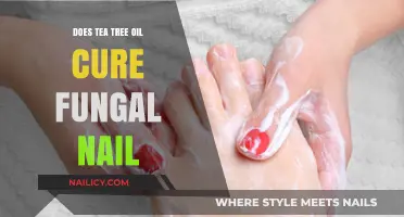 Tea Tree Oil for Fungal Nails: Effective Remedy or Myth?
