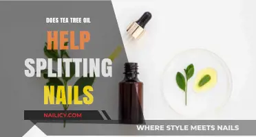 Tea Tree Oil for Nail Health: Can It Repair Splitting Nails?