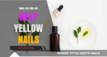 Tea Tree Oil for Yellow Nails: Effective Remedy or Myth?