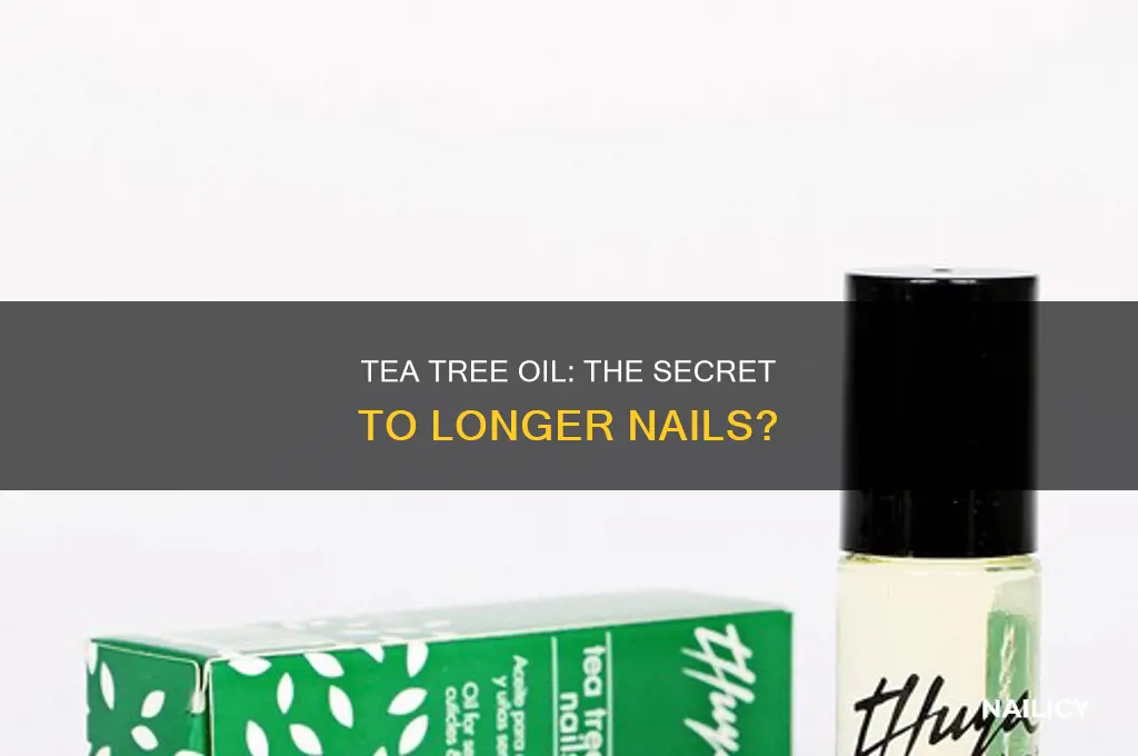 does tea tree oil make nails grow
