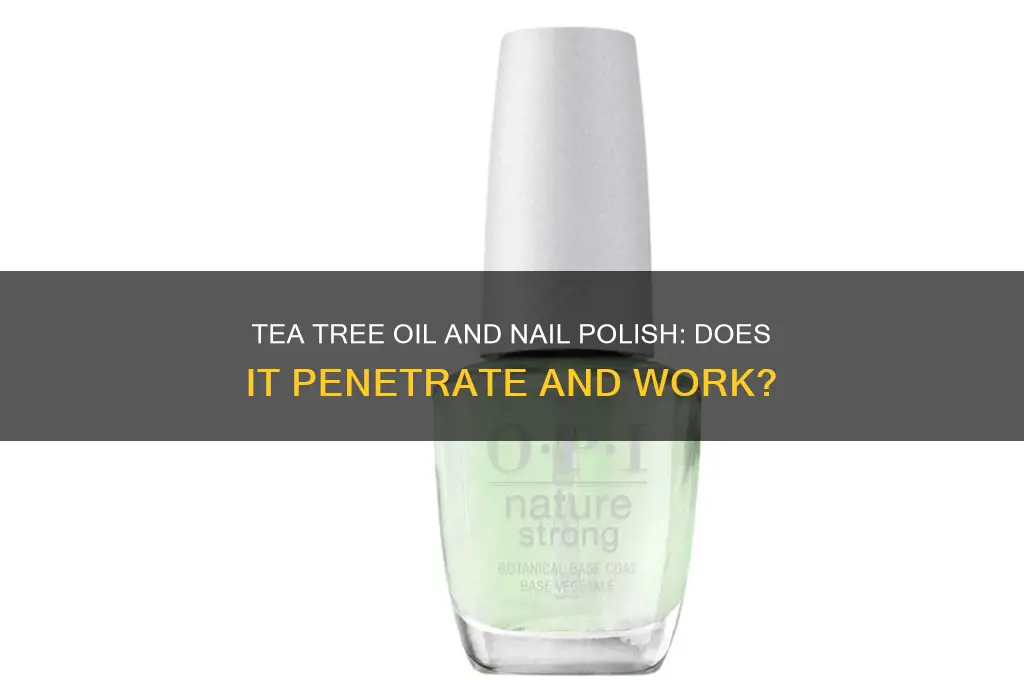 does tea tree oil work through nail polish