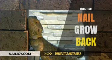 Tegu Nail Regeneration: What You Need to Know