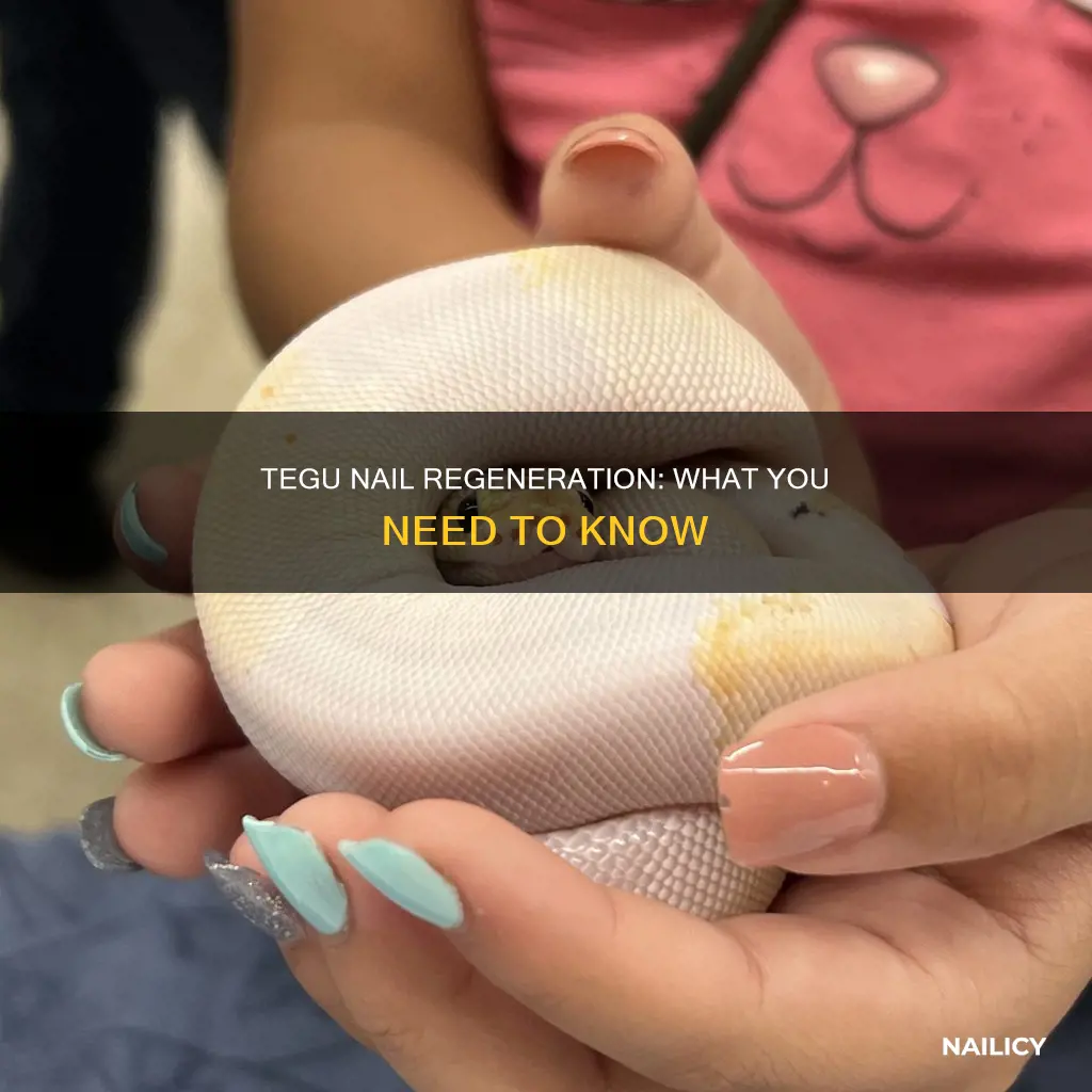 does tegu nail grow back