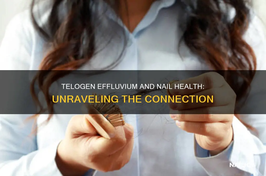 does telogen effluvium affect nails
