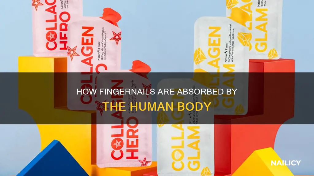 does the body absorb finger nails