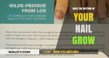 The Truth About Nail Growth: What's Happening at the Bottom?