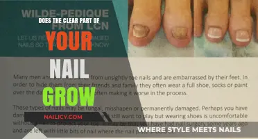 How Nails Grow: Understanding the Clear Nail Part