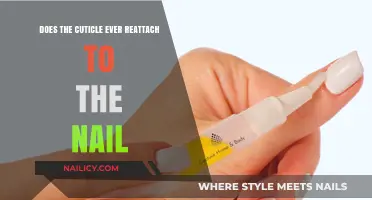 Can Cuticles Reattach to Nails? Unraveling the Truth Behind Nail Health