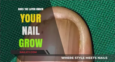 How Your Nails Grow: The Mystery of the Nail Bed