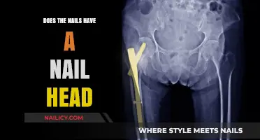 Do Nails Have a Nail Head? Unraveling the Anatomy of Nails