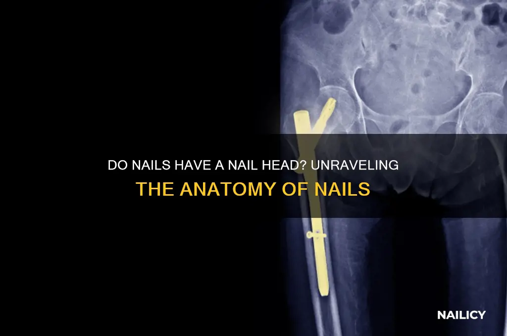 does the nails have a nail head