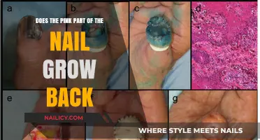 How Nails Heal: Does the Pink Part Regenerate?