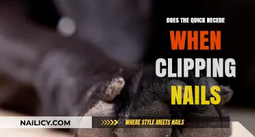 Does Quick Recede After Nail Clipping? Facts and Tips for Healthy Nails
