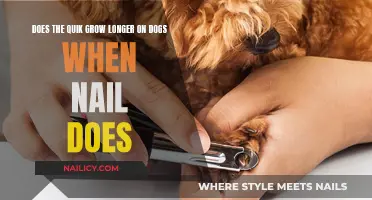 How Quick is Your Dog's Nail and Coat Growth?