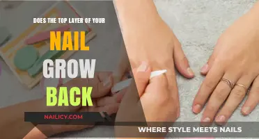How Nails Heal: The Top Layer's Regeneration
