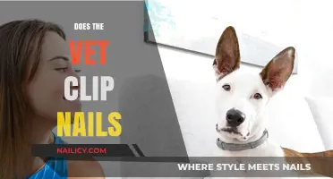 Vet Nail Care: Trimming Services for Your Pet's Paws