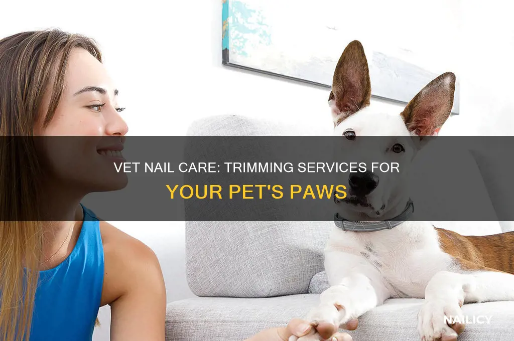 does the vet clip nails