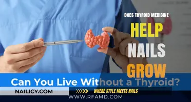 Thyroid Medication: Can It Help Nails Grow?