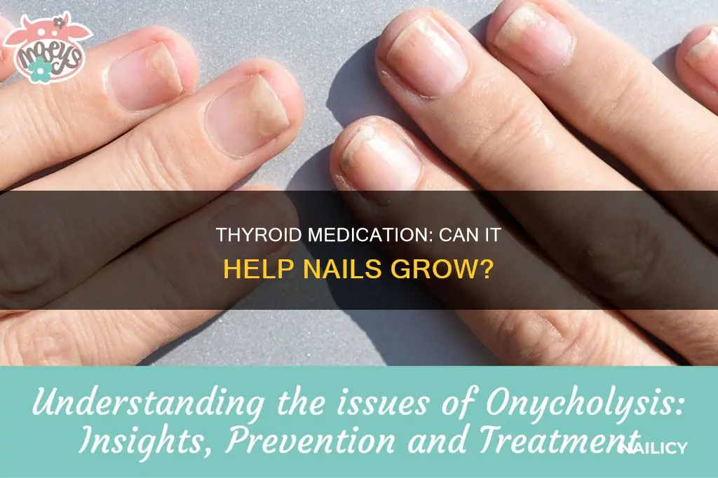 does thyroid medicine help nails grow