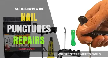 Tire Kingdom Nail Puncture Repairs: What You Need to Know