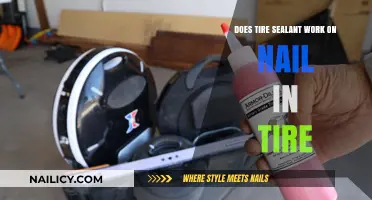 Nail in Tire? Discover If Tire Sealant Can Save Your Ride