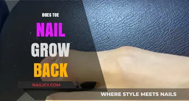 Toe Nail Injuries: Will They Grow Back?