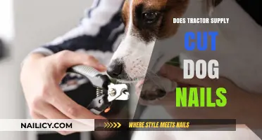 Tractor Supply's Dog Nail Clipping Service: Pros and Cons