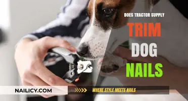 Tractor Supply's Dog Nail Trimming Service: Pros and Cons