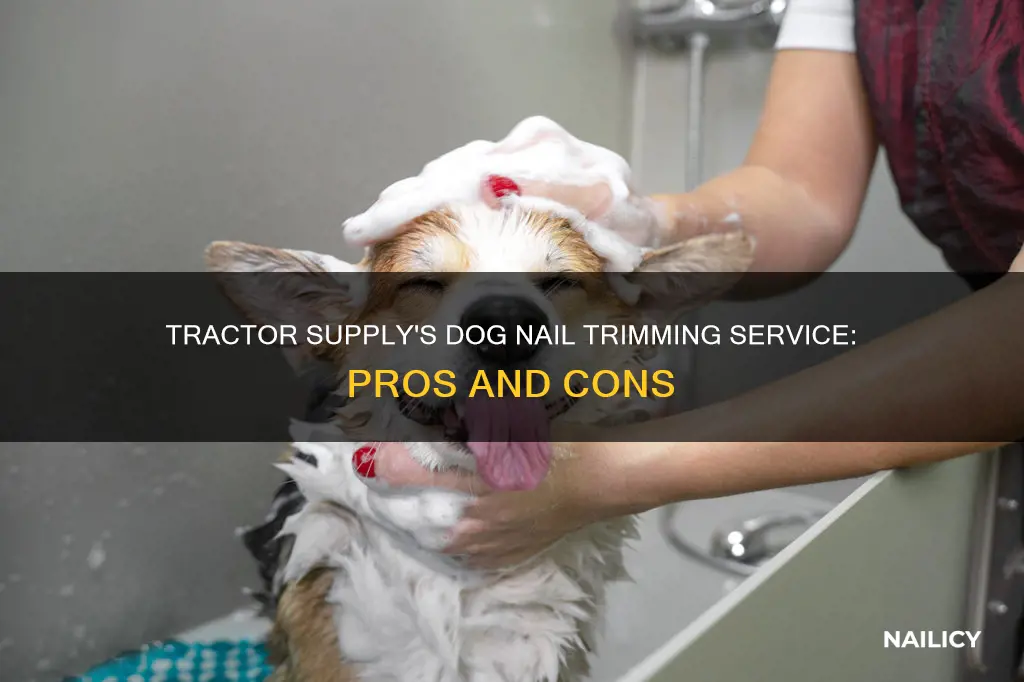 does tractor supply trim dog nails