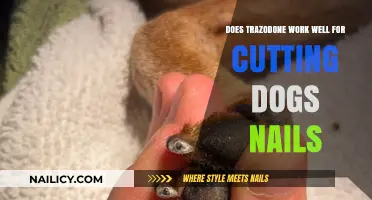 Trazodone: A Safe Solution for Dog Nail Trimming?