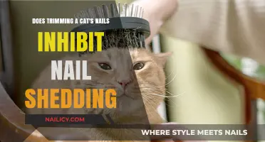 Trimming Cat Nails: Does It Affect Natural Shedding?