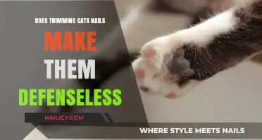 Trimming Nails: Do Cats Lose Their Defense?