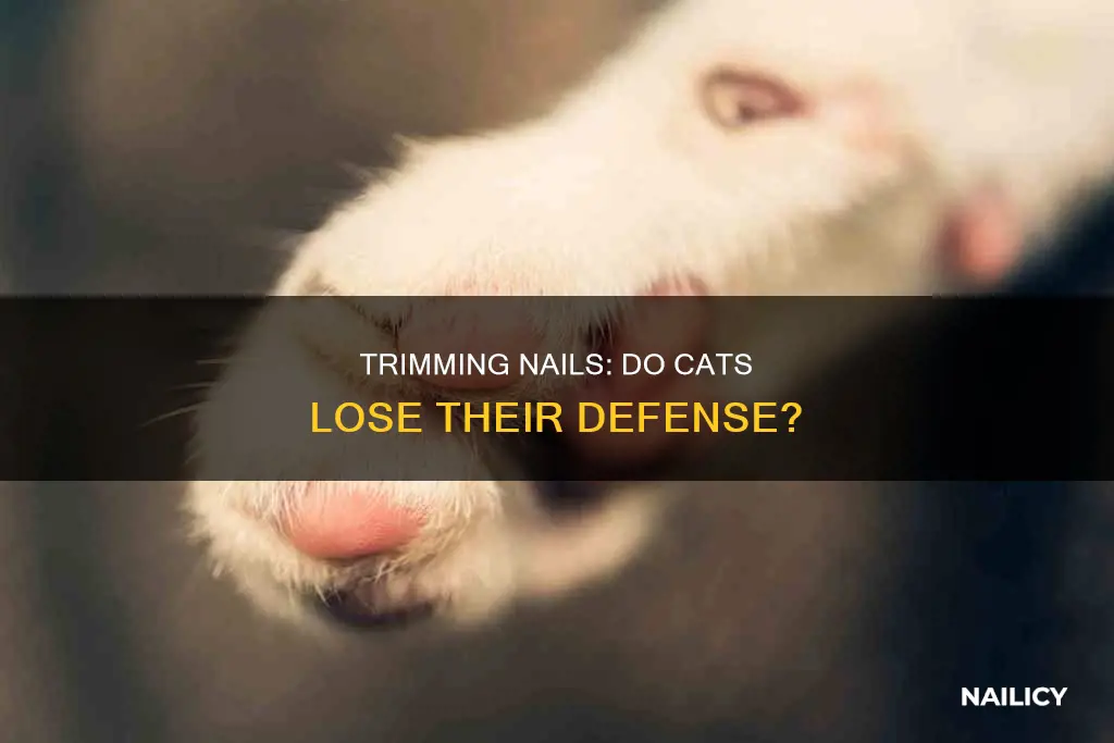 does trimming cats nails make them defenseless