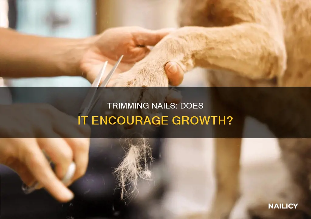 does trimming nails help them grow