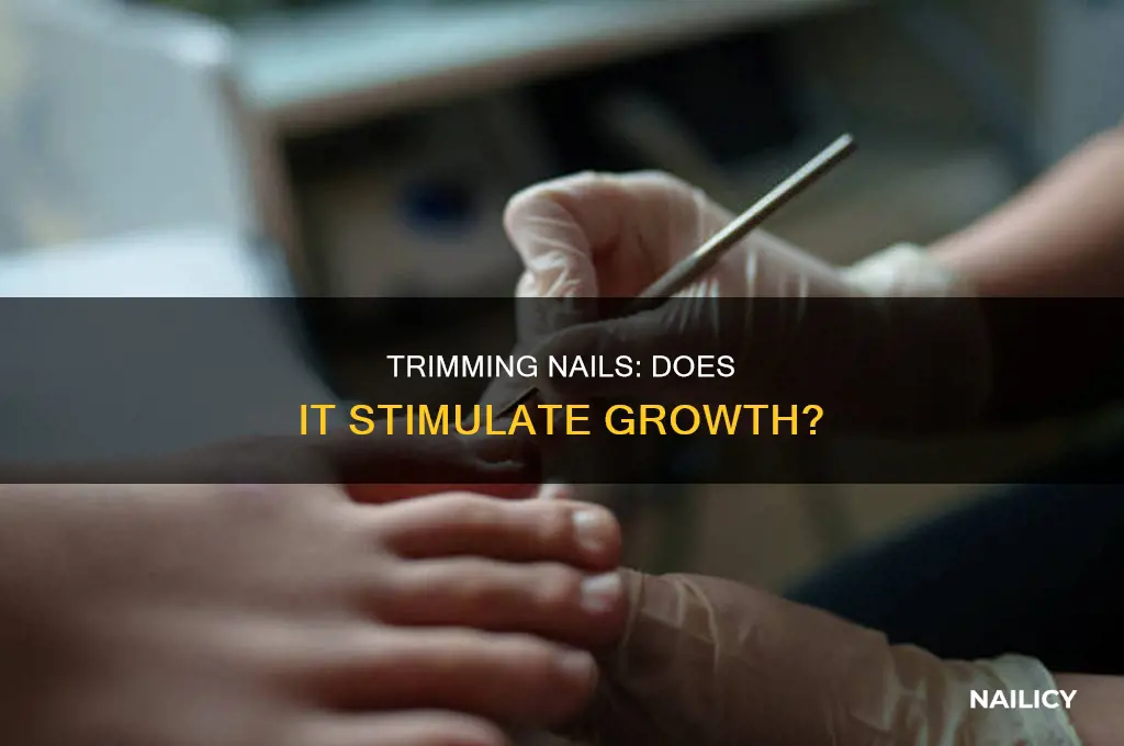 does trimming your nails make them grow faster