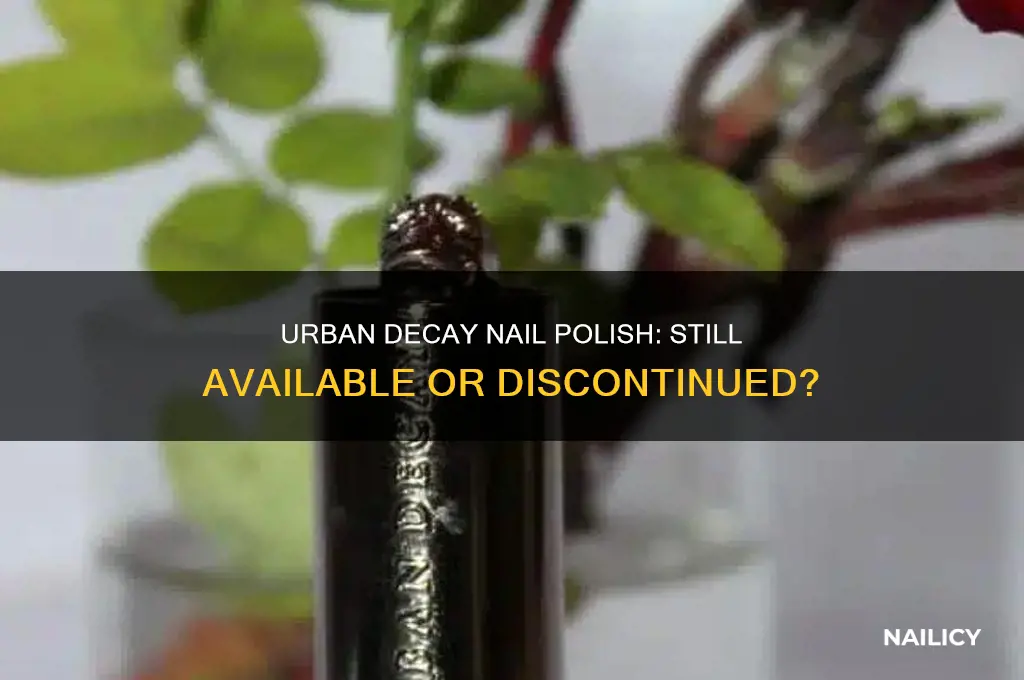 does urban decay still make nail polish