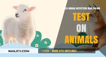 Urban Outfitters Nail Polish: Animal Testing Policies Explained