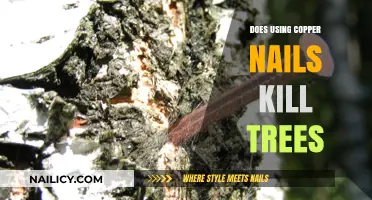 The Verdict on Copper Nails: Tree Health at Stake