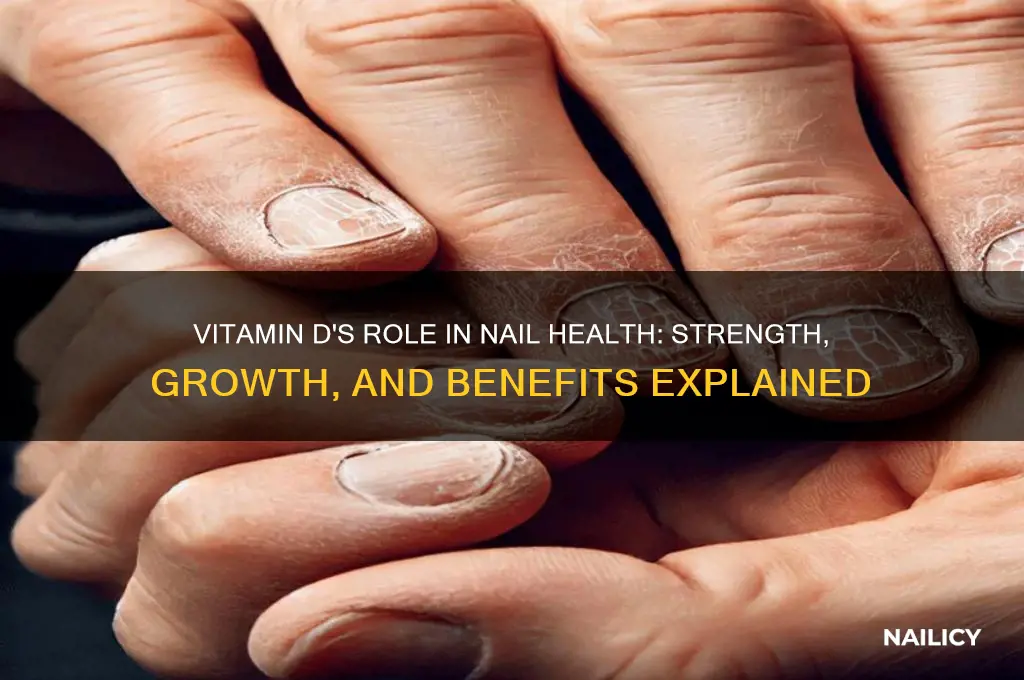 does vitamin d help nails