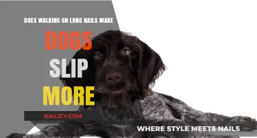 Long Nails: A Slippery Slope for Dogs?