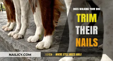 Walking Your Dog: Nature's Nail Trimmer?