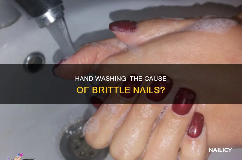 does washing hands make nails brittle