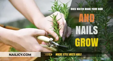 Hydration's Effect on Hair and Nail Growth